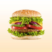 burger-4 burger-4