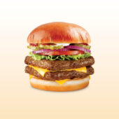 burger-6 burger-6
